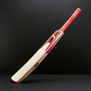 Gallery_2