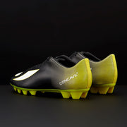 Gallery_3