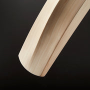 Gallery_3