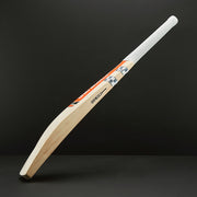 Gallery_1