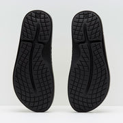 Gallery_5