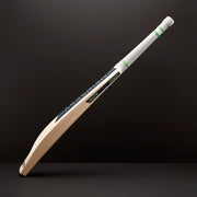 Gallery_1