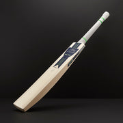Gallery_2