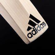 Gallery_6