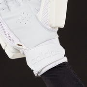 Gallery_1