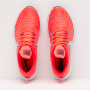 Gallery_5