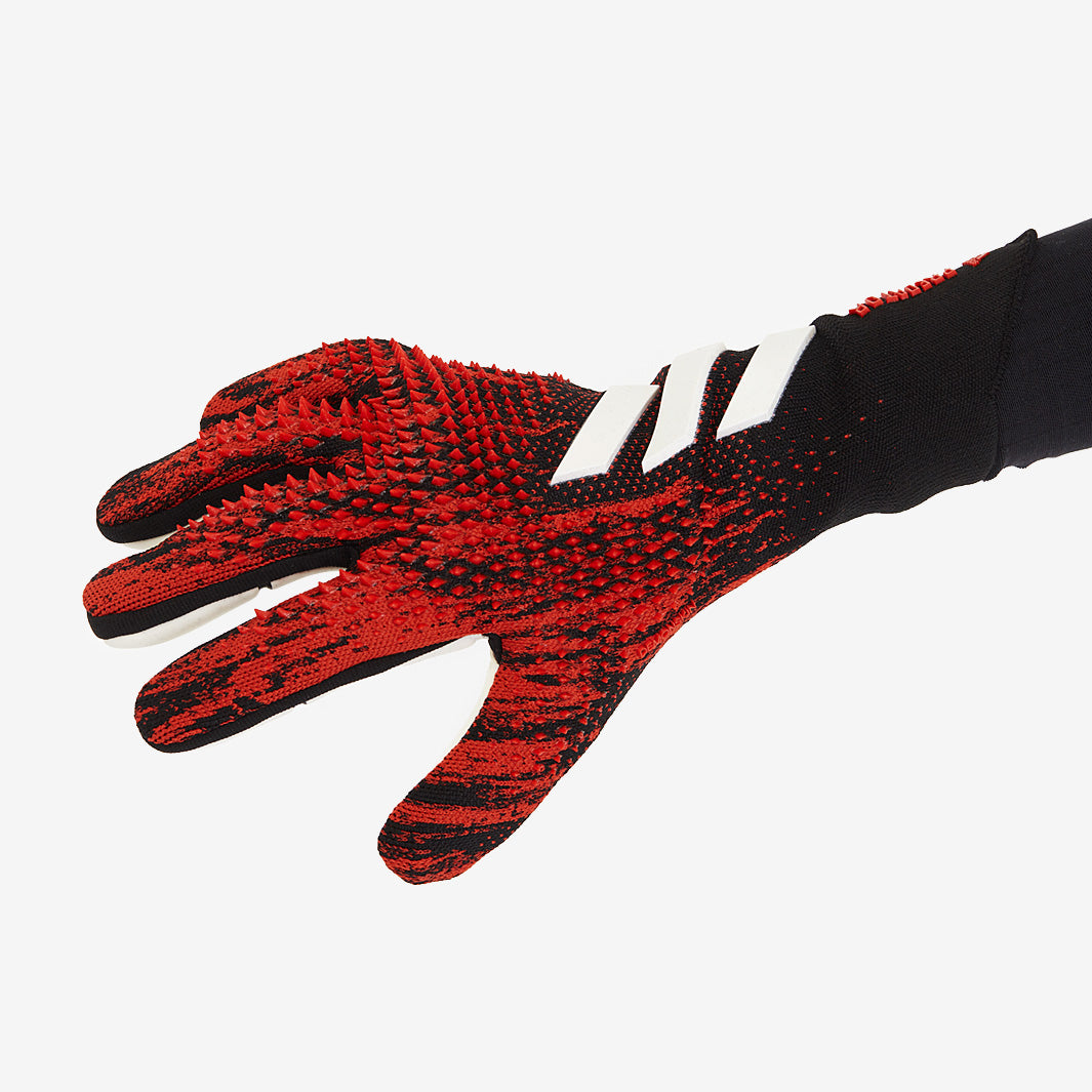 Gallery_1