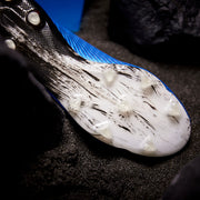 Gallery_2