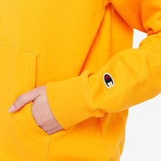 Gallery_4