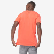 Gallery_2