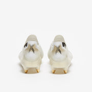 Gallery_4