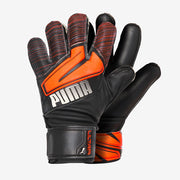 Main