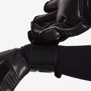 Gallery_3