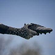Gallery_5