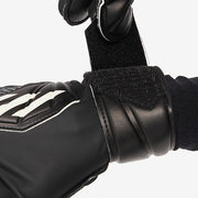 Gallery_3