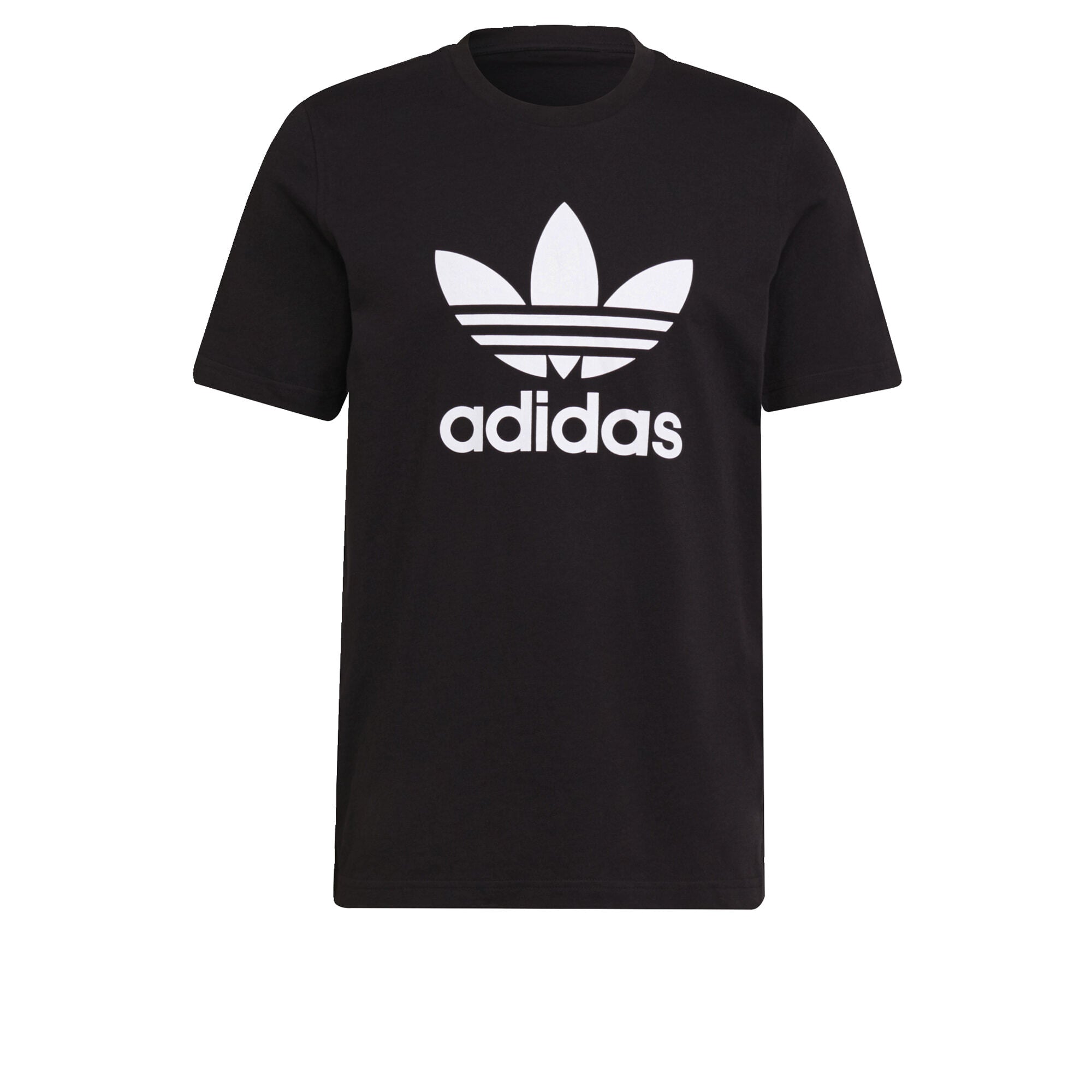 Gallery_1