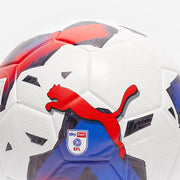 Gallery_1