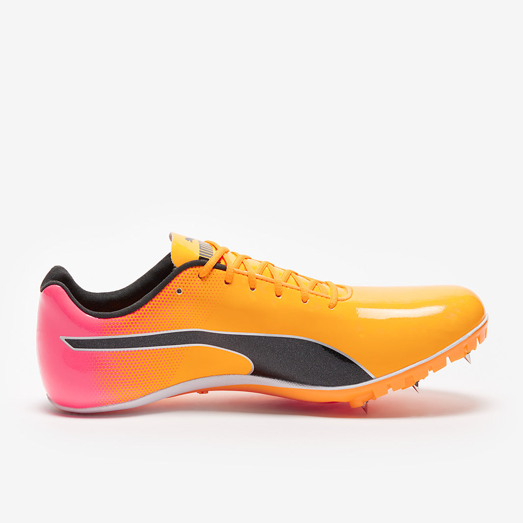 Gallery_2
