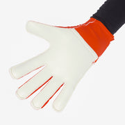 Gallery_2
