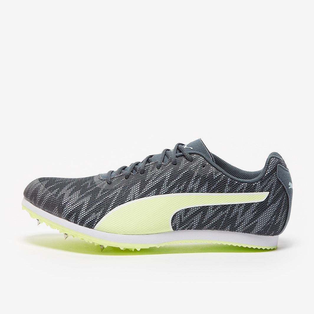 Gallery_1