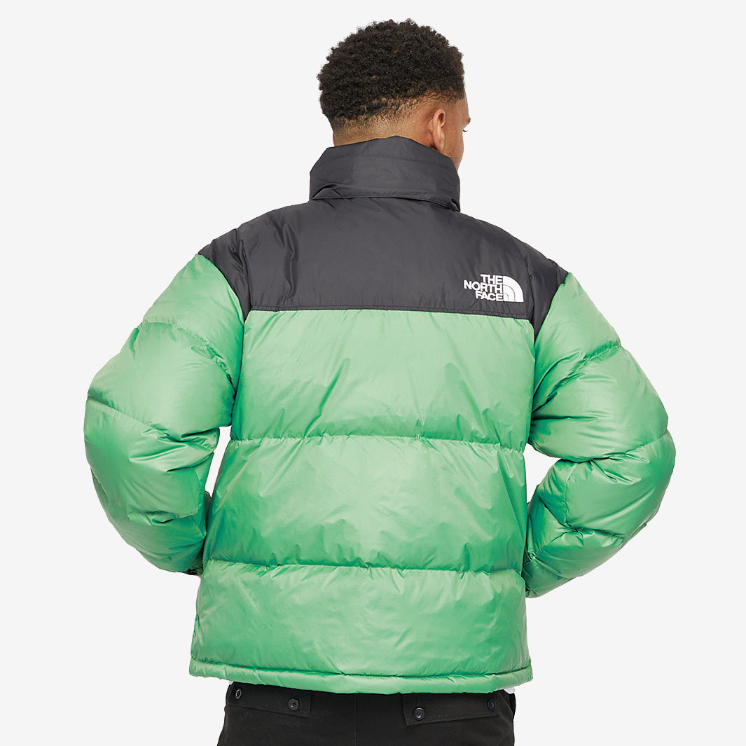 Gallery_2