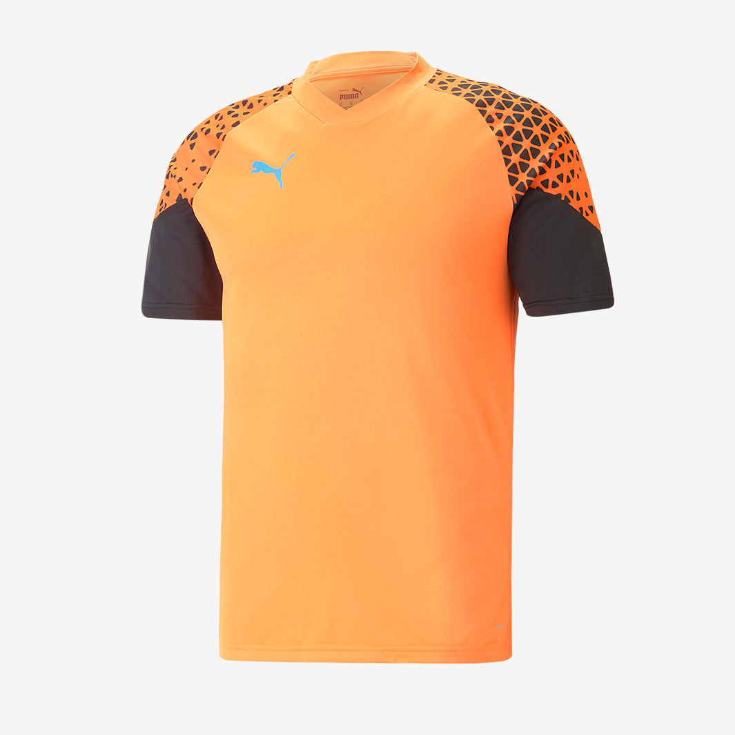 Puma 2023 individualCUP Training Shirt