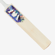 Gallery_3