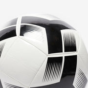 Gallery_2