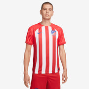Nike Atletico Madrid 23/24 Dri
