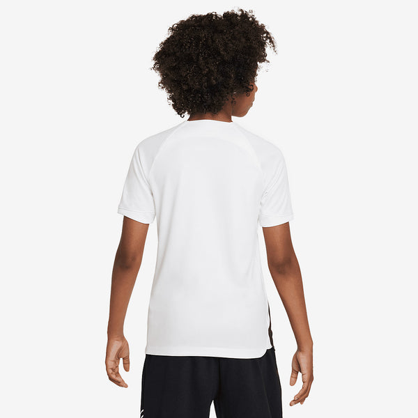 Nike Inter Milan 23/24 Kids Dri-Fit Away SS Stadium Shirt