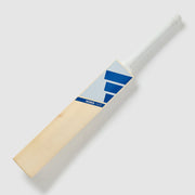 GALLERY_2