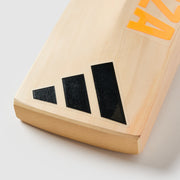 GALLERY_5
