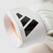 GALLERY_5
