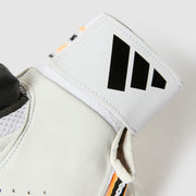 GALLERY_5