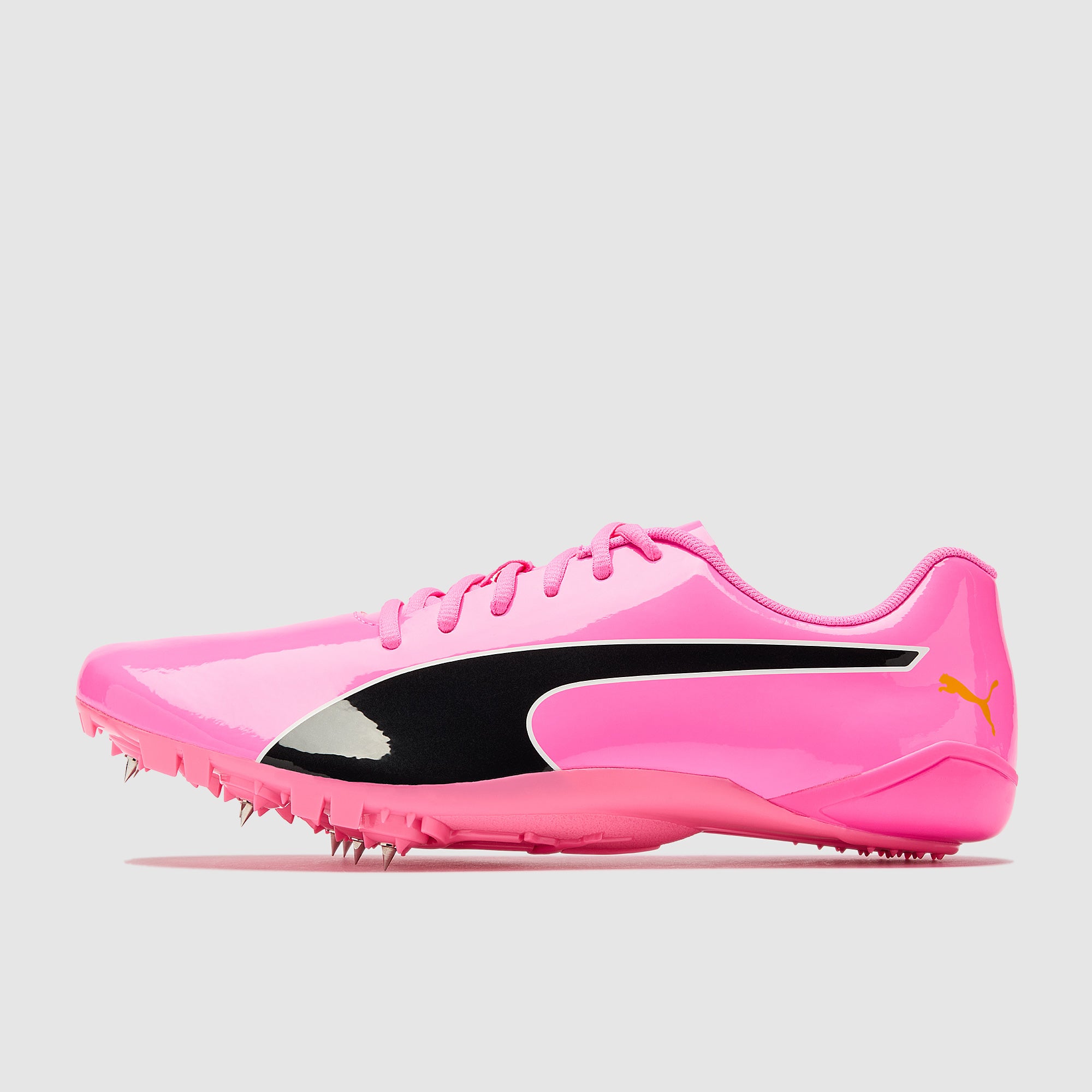 GALLERY_1