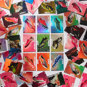 GALLERY_5