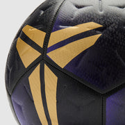 GALLERY_2