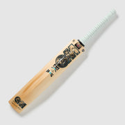 MAIN