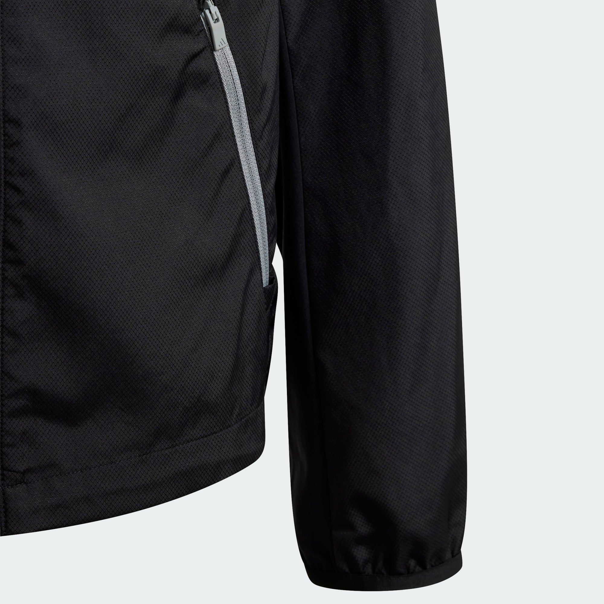 Gallery_5