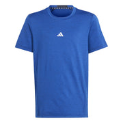 Main