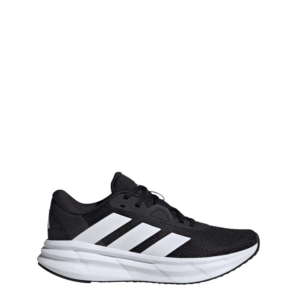 Gallery_2