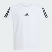 Gallery_4