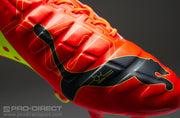 Gallery_1