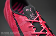 Gallery_1