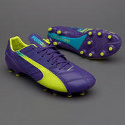 Gallery_1