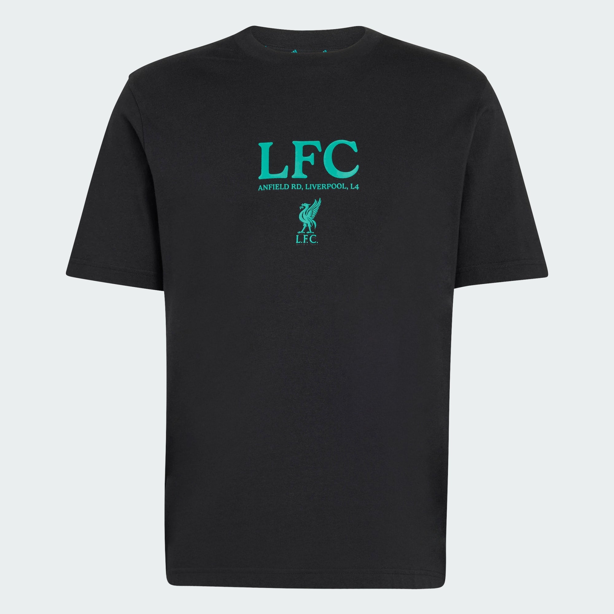 Main