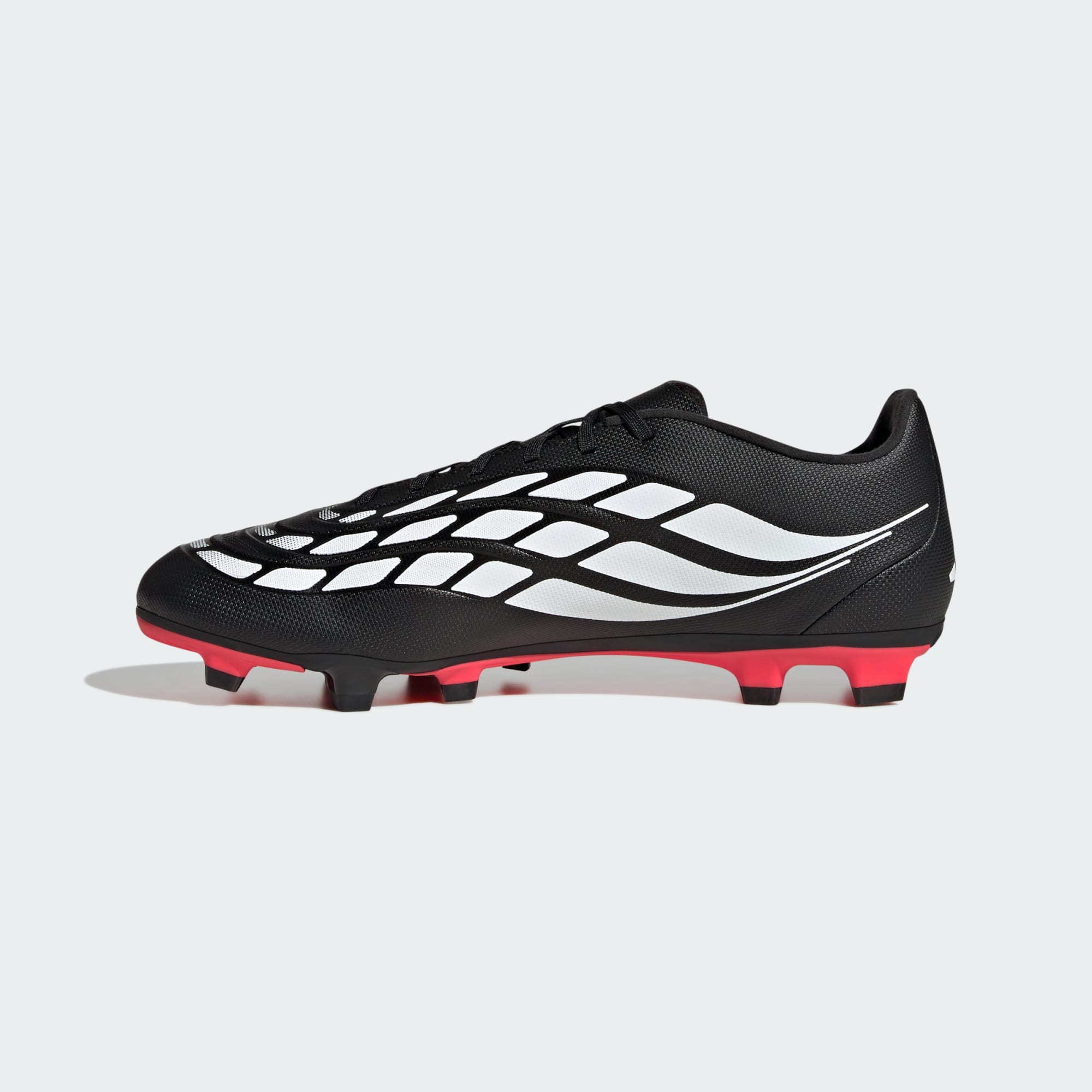 Main