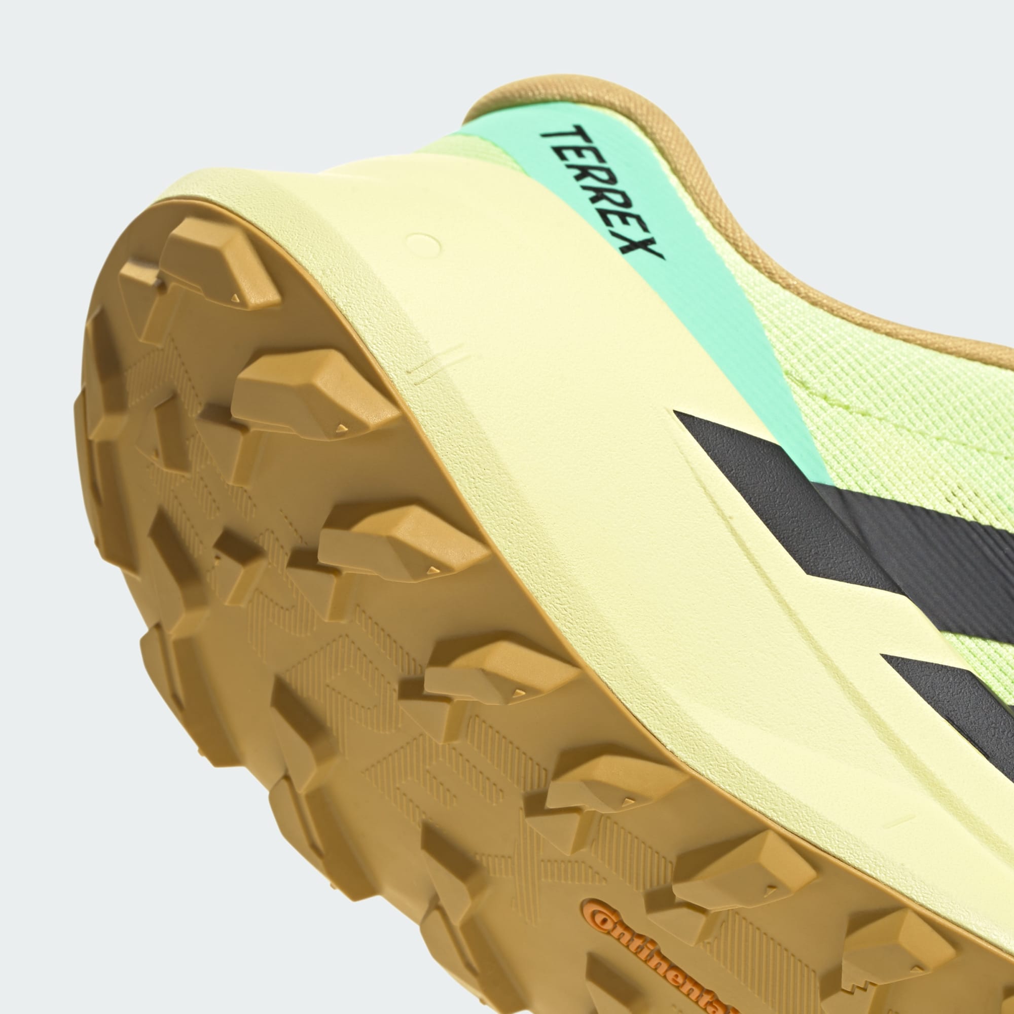 Gallery_6